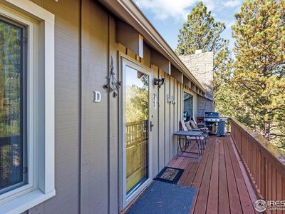 206 Twin Owls Ln, Estes Park, CO, 80517