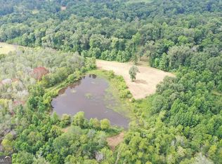 391-2 Ezell Rd, Whigham, GA 39897