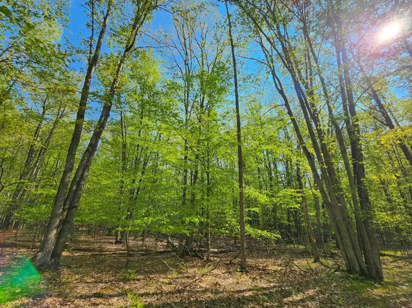LOT 828 Hemlock Ln, Farwell, MI 48622