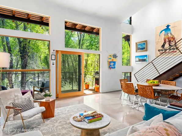 129 Emma Rd Unit E, Basalt, CO 81621
