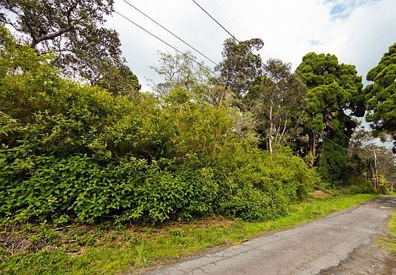 3rd image of 11-4006 Hale Ohia Rd Lot 25