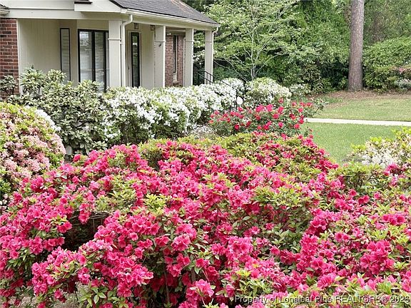 3rd image of 2521 Morganton Rd