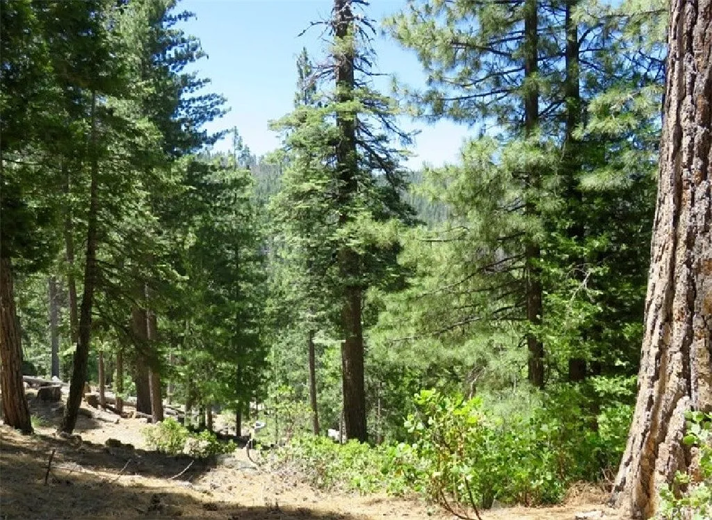 7483 Yosemite Park Way photo 1