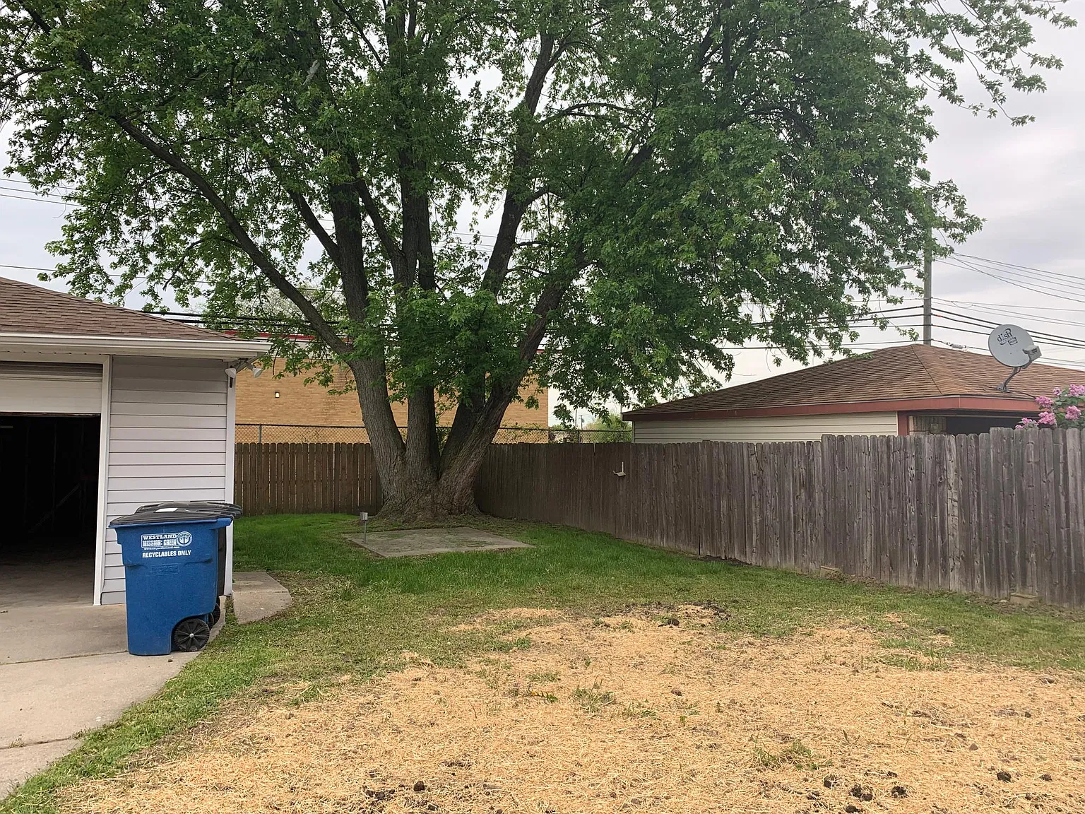 3 bed, 955 sqft, $1,500 — Photo 3
