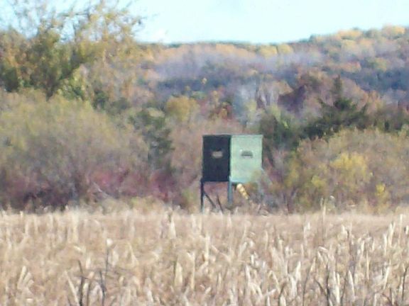 3rd image of Wilcox Road #251