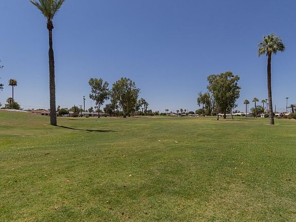 0021-Thunderbird (21)