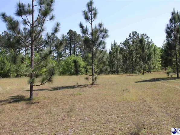 0 Patrick Hwy, Hartsville, SC 29550