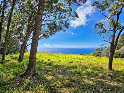 95-3940 Halemauna Rd, Naalehu, HI, 96772