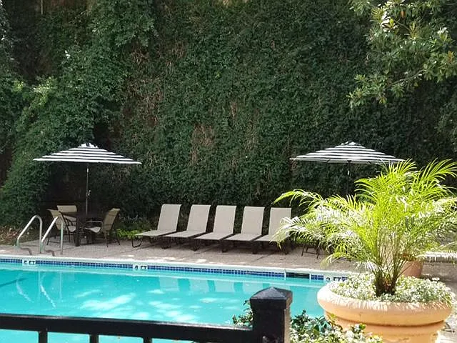 Sparkling Secluded Pool