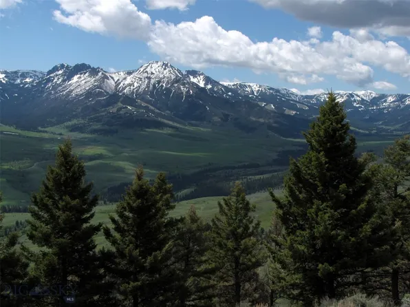 Tbd Grizzly Meadows Rd, Emigrant, MT 59027