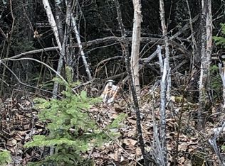 L3 Bc Redstone Rd, North Pole, AK 99705