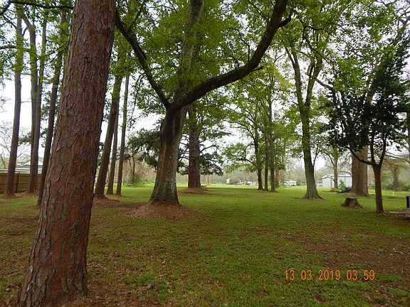 4th image of 131 Bluebonnet Dr