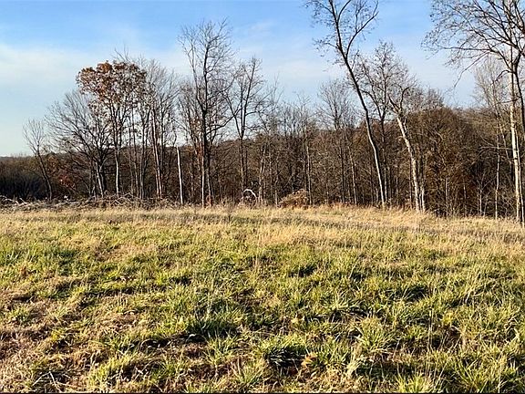 5th image of 113 Deerwalk Cir