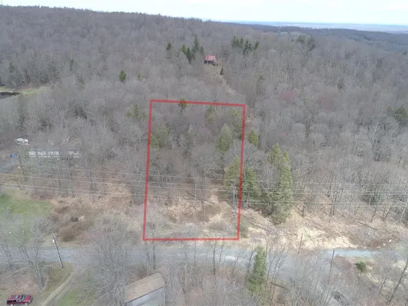 Saint Moritz Dr, Newfoundland, PA 18445