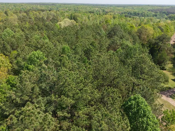 Maroney Rd, Medon, TN 38356