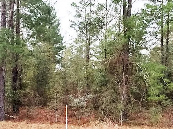 Tbd Sw 33rd Loop, Jasper, FL 32052