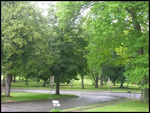 View of Park from Front Porch
