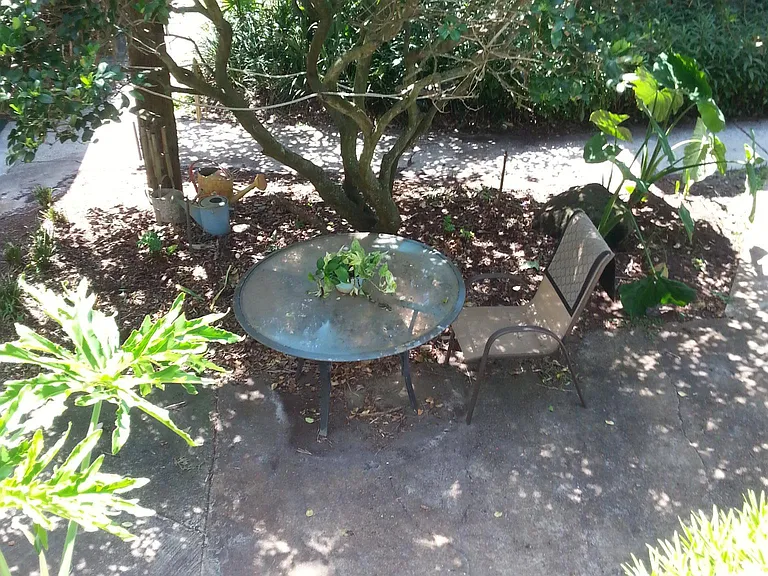 COURTYARD DINING AND RELAXING