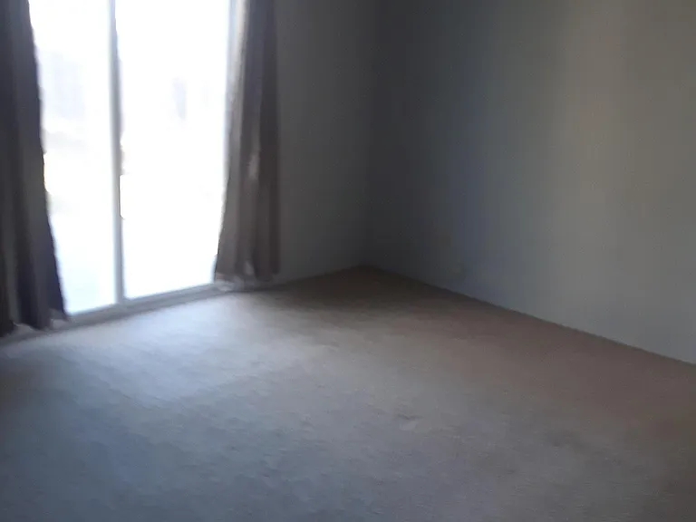 167 Halsey St — Photo 8