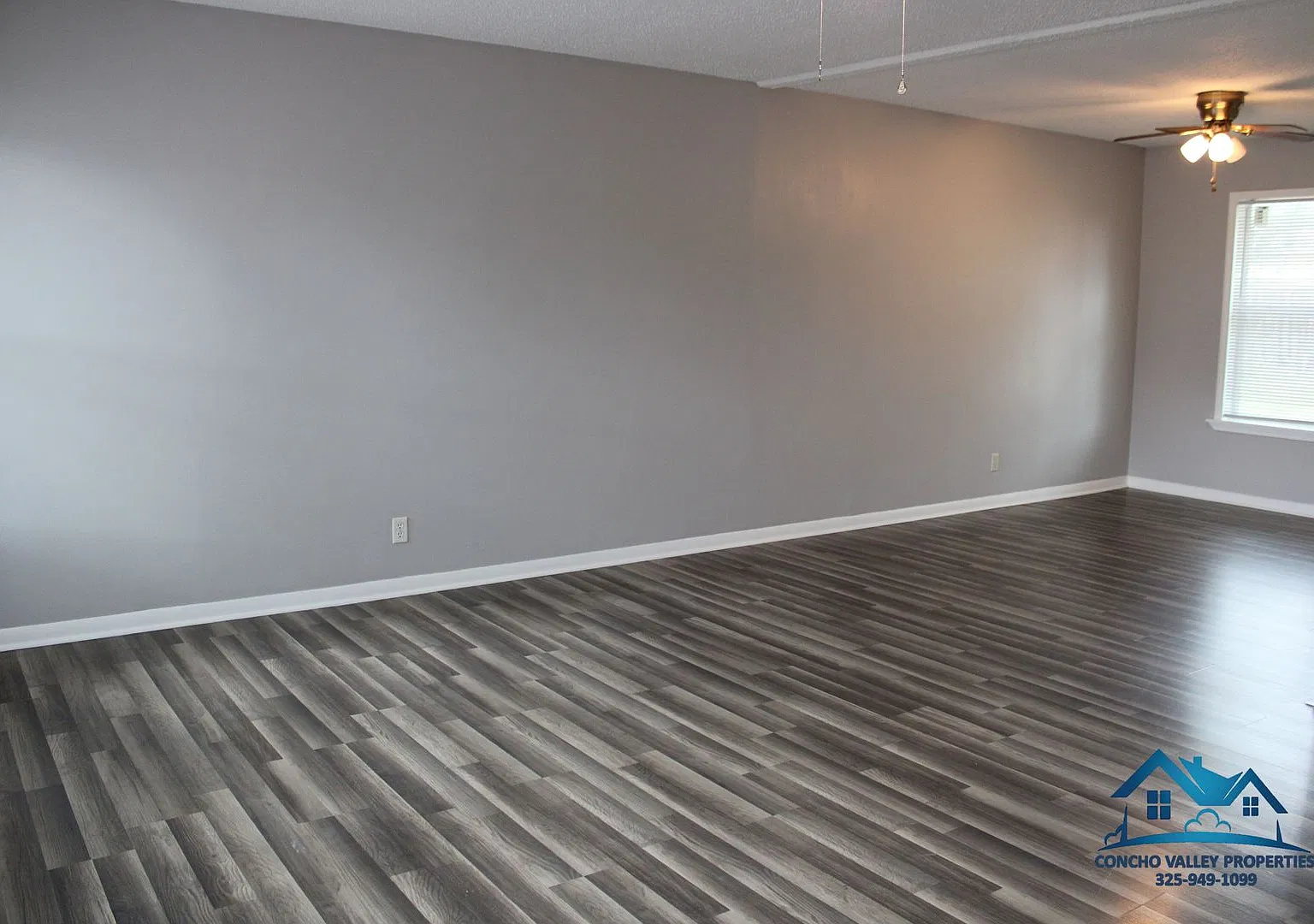3 Bed/1 Bath near Angelo State University — Photo 4