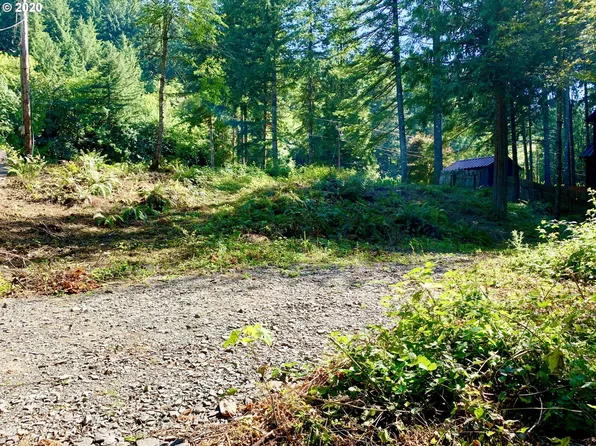 18610 NE Cole Witter Rd, Battle Ground, WA 98604