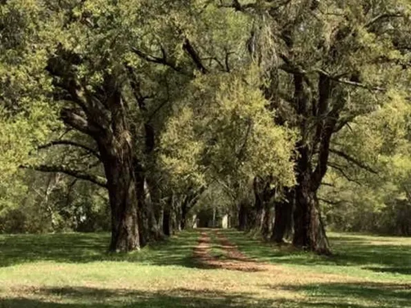 221 Front Beach Dr, Ocean Springs, MS 39564