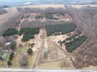 9727 E Centerville Rd #17, Houghton, NY 14744