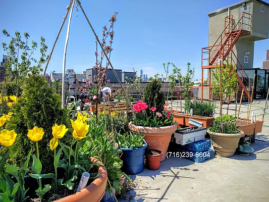Rented by Manhattan Management LLC | media 46