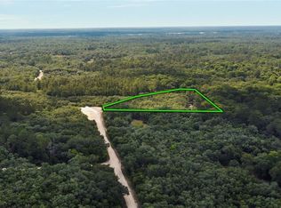 Medicine Stone Dr LOT 26, Webster, FL 33597