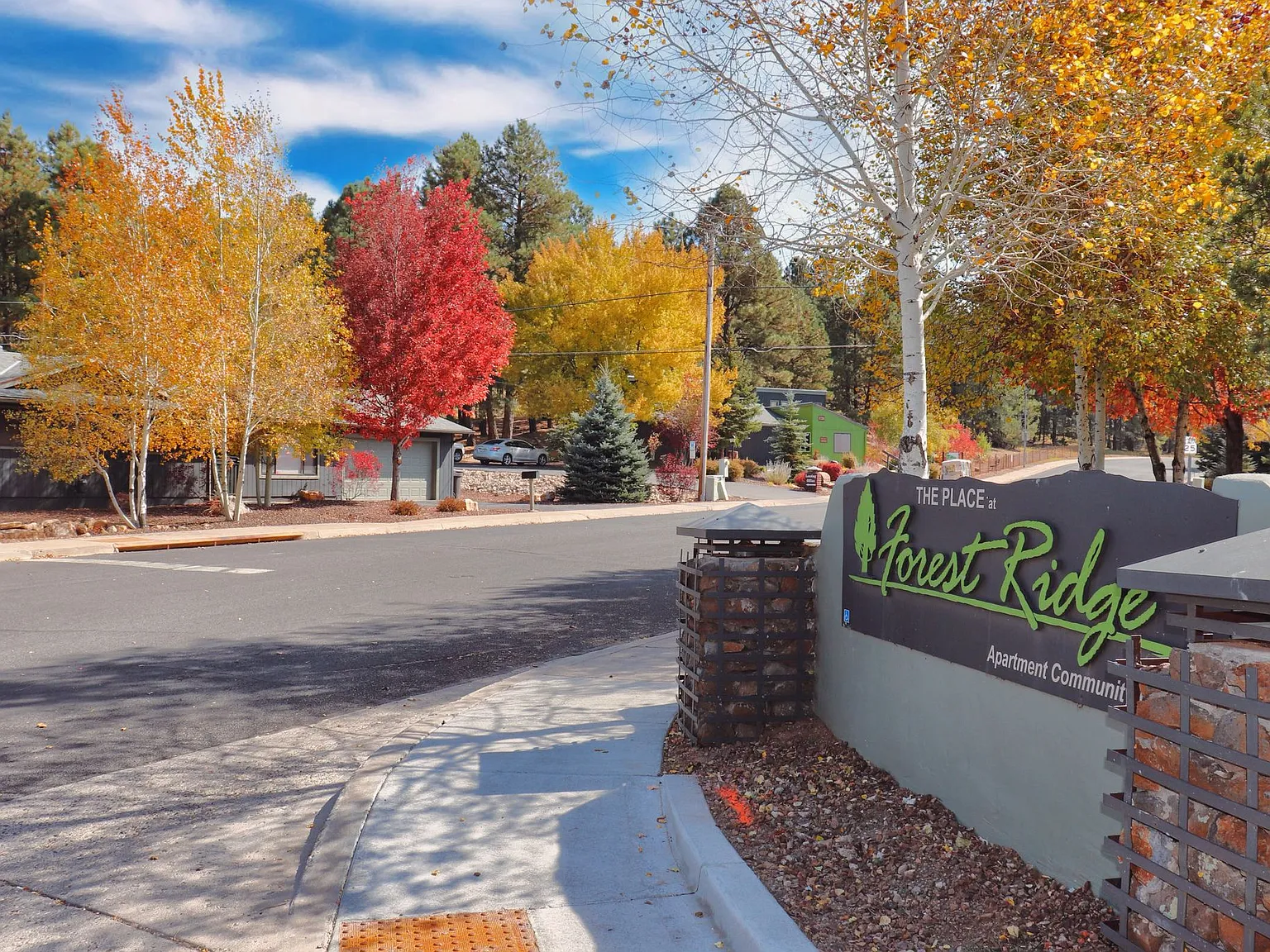 The Place At Forest Ridge — Photo 2