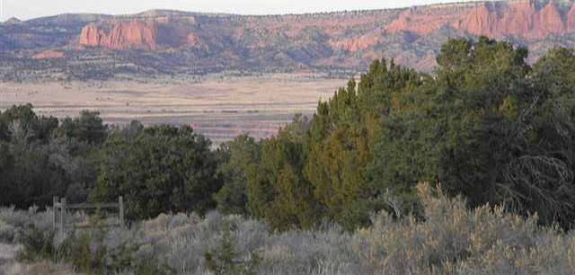 1st image of 0 W Whispering Cedars Dr