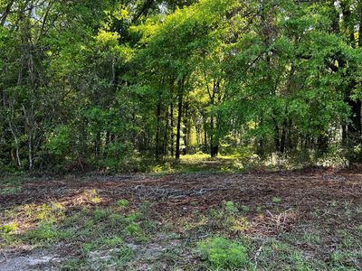 131st Dr, O'Brien, FL, 32071