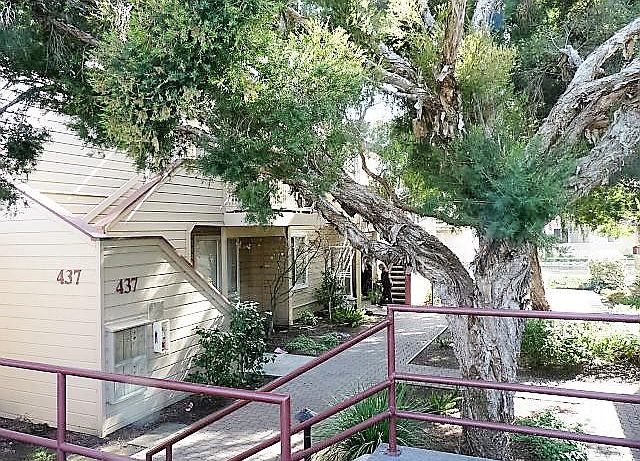 1st image of 437 Cork Harbour Cir APT G