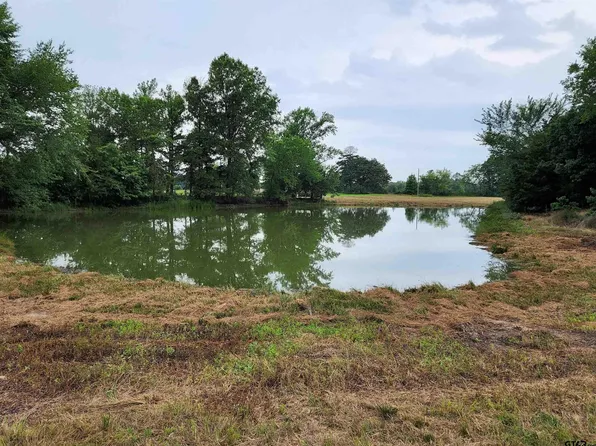County Road 3216 #10, Pittsburg, TX 75686