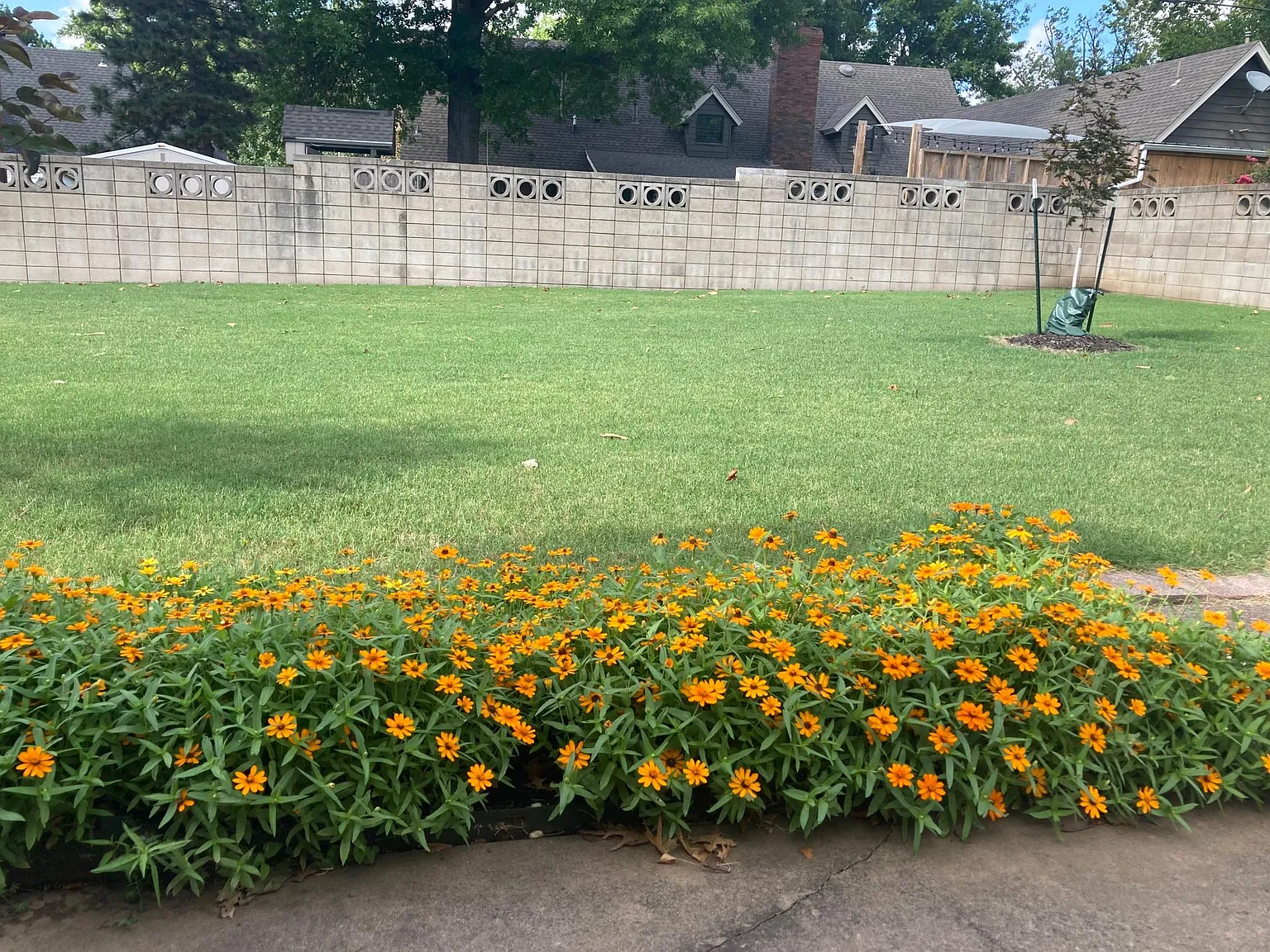 3 bed, 2080 sqft, $2,050 — Photo 4