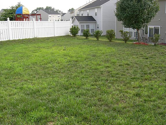 Huge backyard for the kids