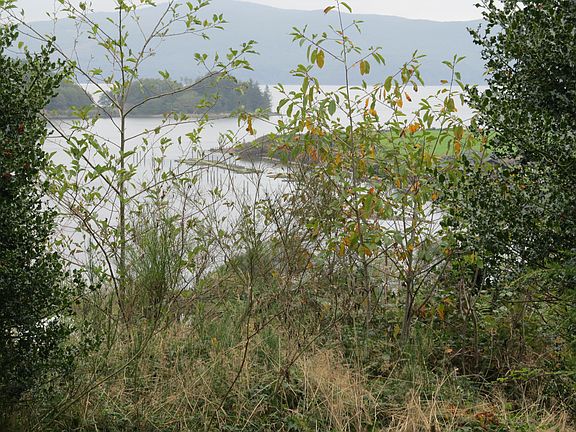 View from top of the lot