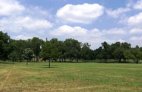 White Rock Lake Park directly across the street!