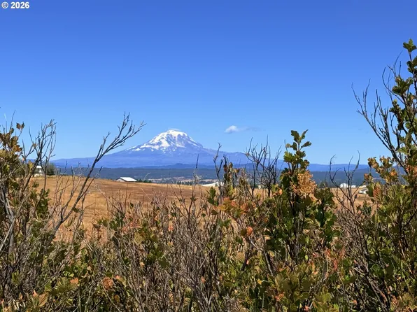 Erickson Rd #28A, Centerville, WA 98613