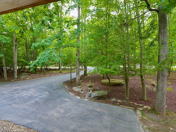 Driveway/Parking
