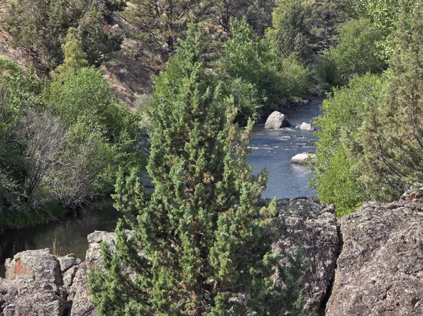 Parcels 16772 565 16771 16935 #8568-16316, Paisley, OR 97636