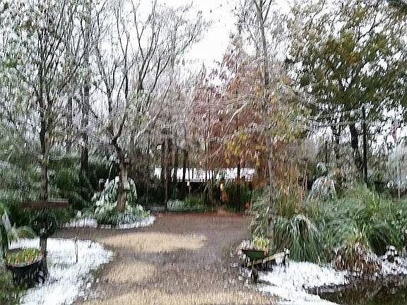 Snow in the Basin.