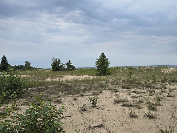 4th image of Dune Ln