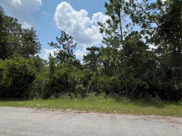 Kumquat Avenue Lot #4, Eustis, FL 32736
