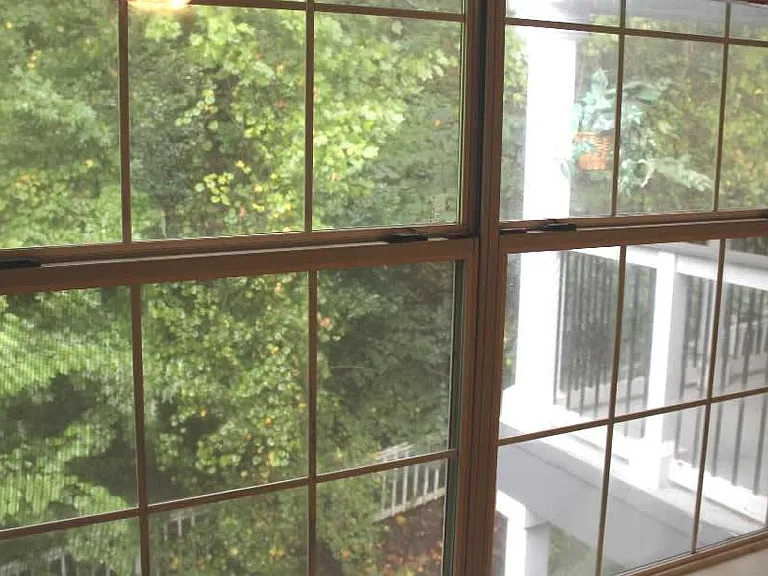 View of peaceful "wooded privacy" from Master Bedroom windows