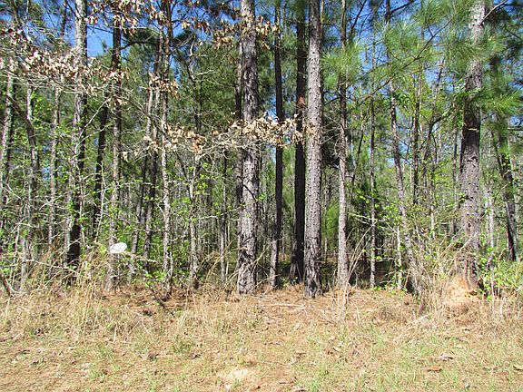 4th image of LOT 63 Eagle Pointe