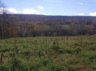 0 County Highway 50, Cherry Valley, NY 13320