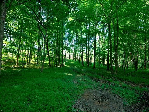 5th image of 0 Carson Rd Lot 5
