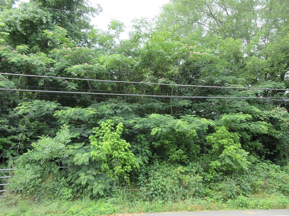 1st image of Holston Dr