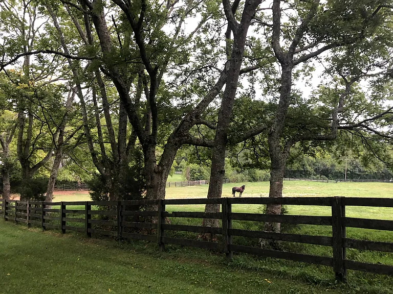 pasture by the house